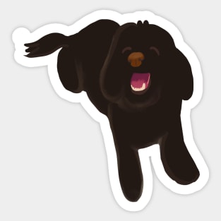 Smiling Black Fluffy Maltipoo Dog Sticker